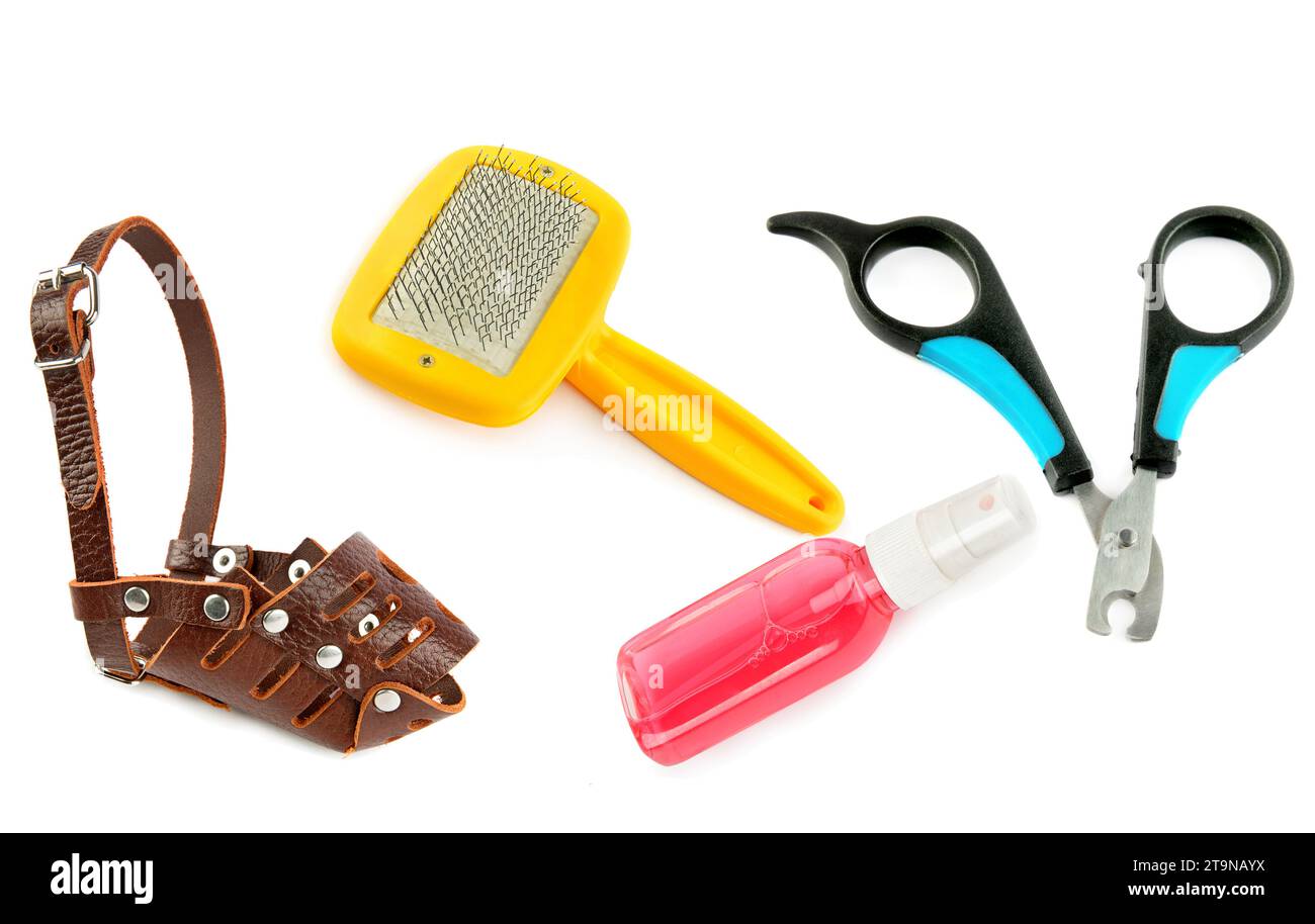 Dog muzzle, nail clipper, slicker brush and shampoo isolated on white