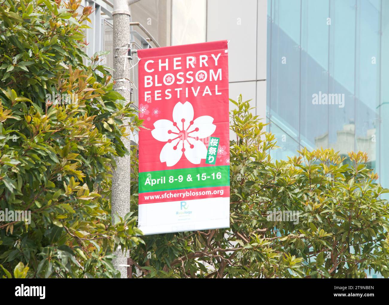 San Francisco, CA April 8, 2023 Colorful signs line the streets in