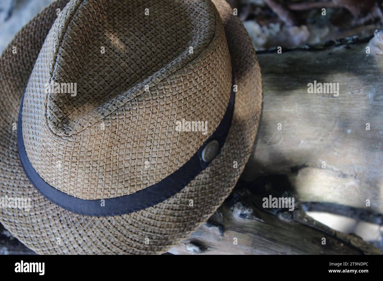 Rustic straw or natural fiber hat, beige, with a black fabric ribbon sewn as an ornament between the crown and brim of the hat, on a tree trunk. Stock Photo