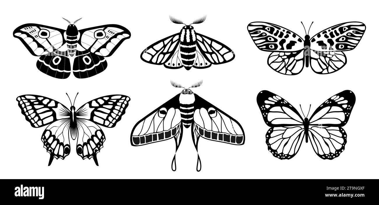 Black and white butterflies vector set Stock Vector Image & Art Alamy