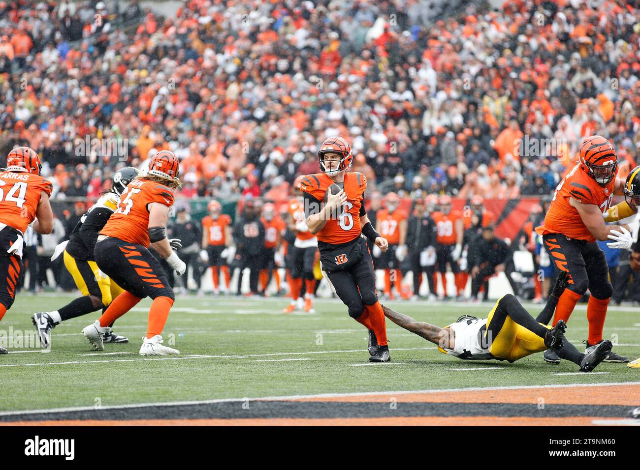 Cincinnati, Ohio, USA. 26th Nov, 2023. Cincinnati Bengals quarterback ...