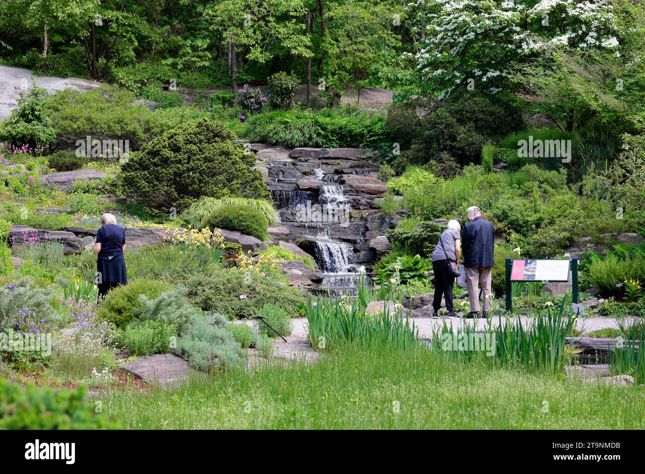 People at the Rock Garden Cascade waterfall at the New York Botanical