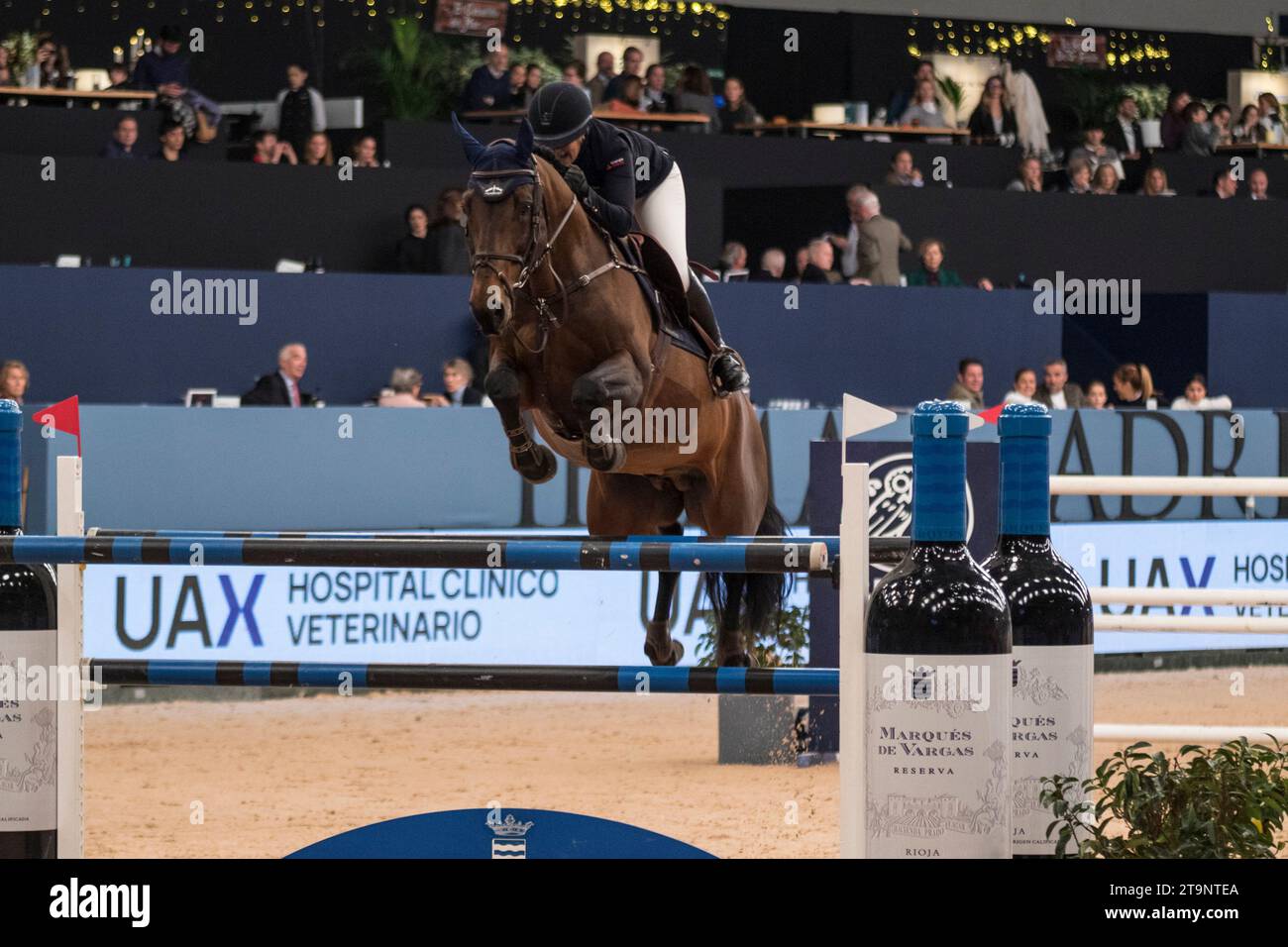 THE FRENCH JUMPING RIDER JEANNE SADRAN IN THE SELECTION TEST OF