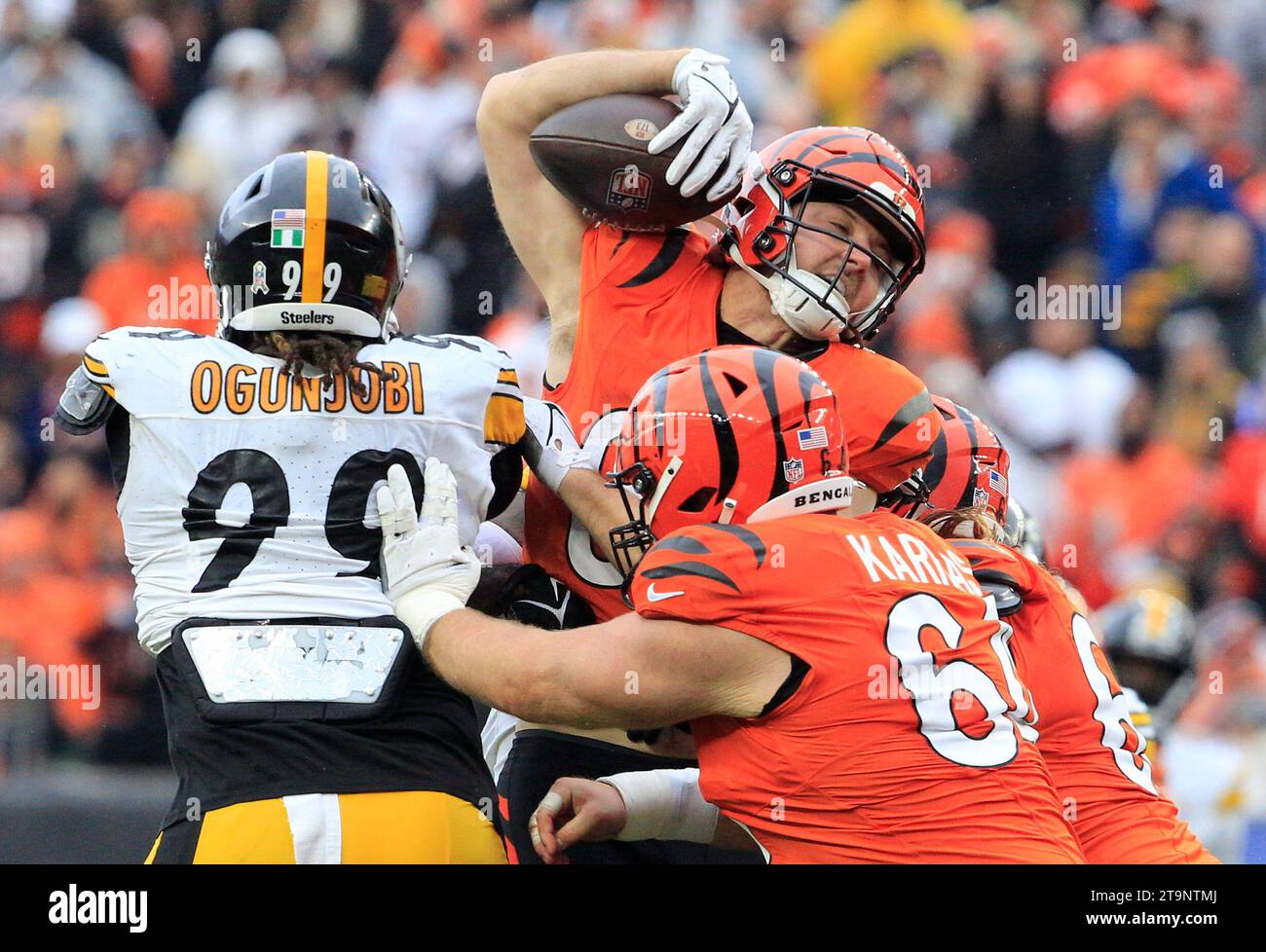 Cincinnati, Ohio, USA. 26th Nov, 2023. Pittsburgh Steelers defensive tackle Larry Ogunjobi (99) during the regular season game between the Pittsburgh Steelers and Cincinnati Bengals in Cincinnati, Ohio. JP Waldron/Cal Sport Media (Credit Image: © Jp Waldron/Cal Sport Media). Credit: csm/Alamy Live News Stock Photo