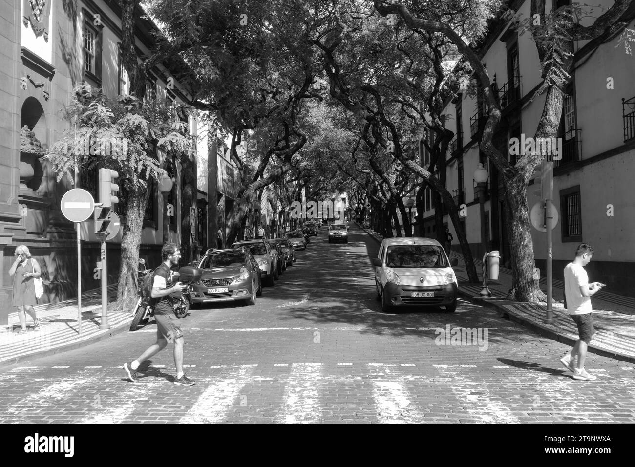 Banco de Portugal, Funchal, Madeira, Portugal Stock Photo Alamy