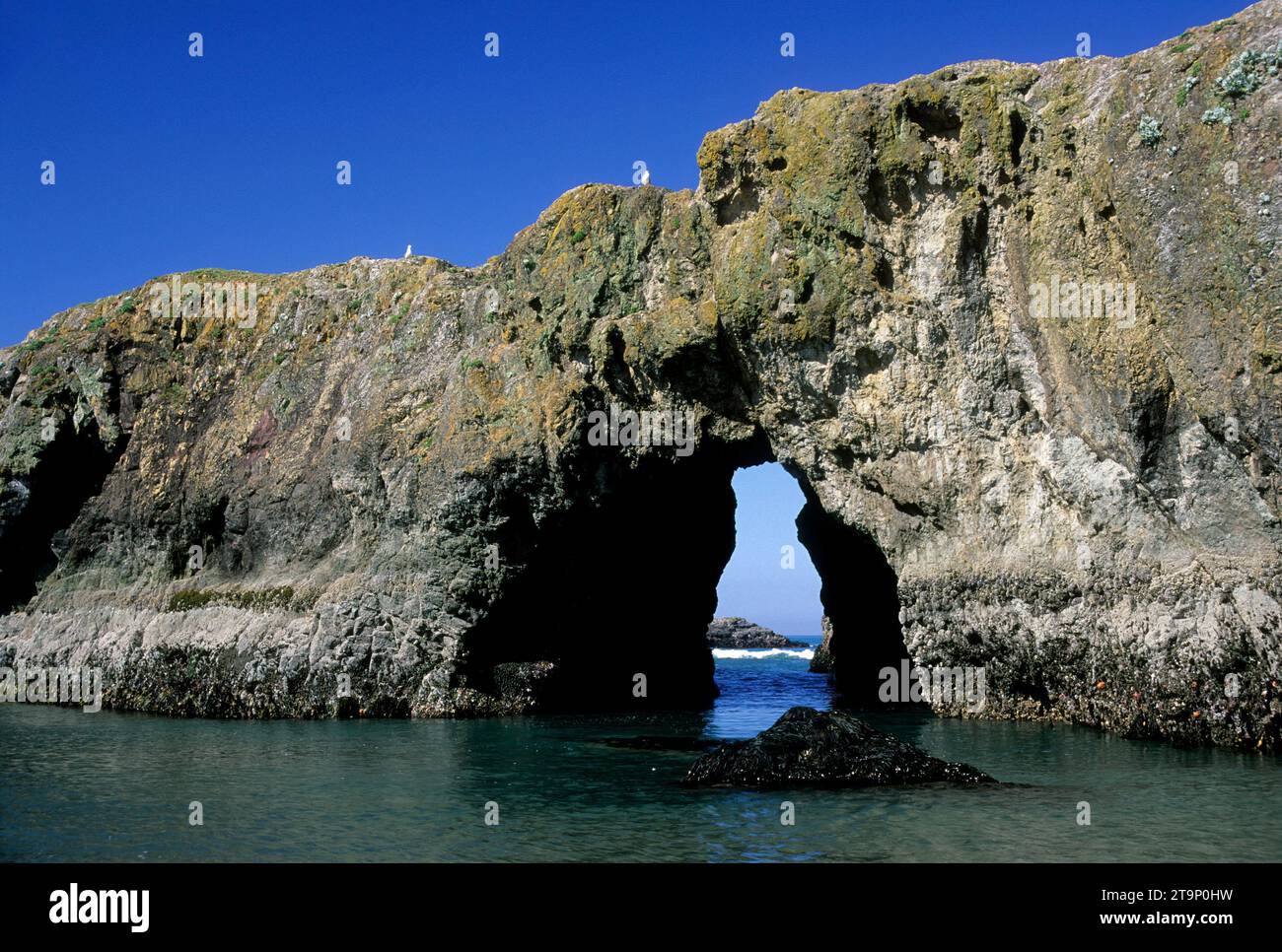 Arch Rock, Pistol River State Park, Oregon Stock Photo