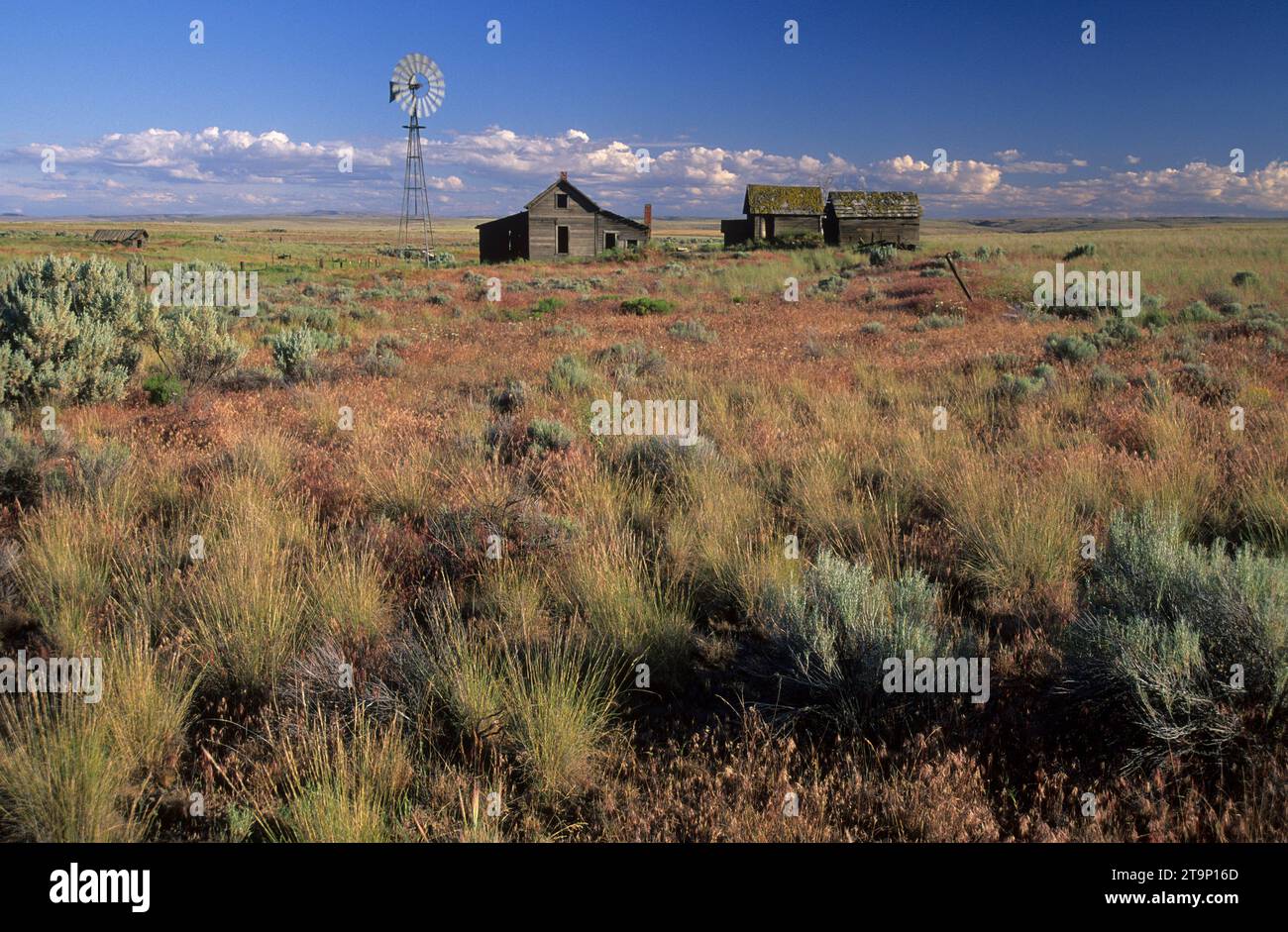Old homestead, Journey through Time National Scenic Byway, Sherman County, Oregon Stock Photo