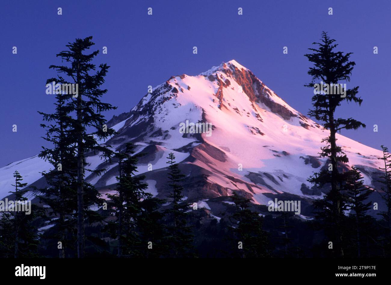 Mt Hood from Pass, Mt Hood National Forest, Oregon Stock Photo