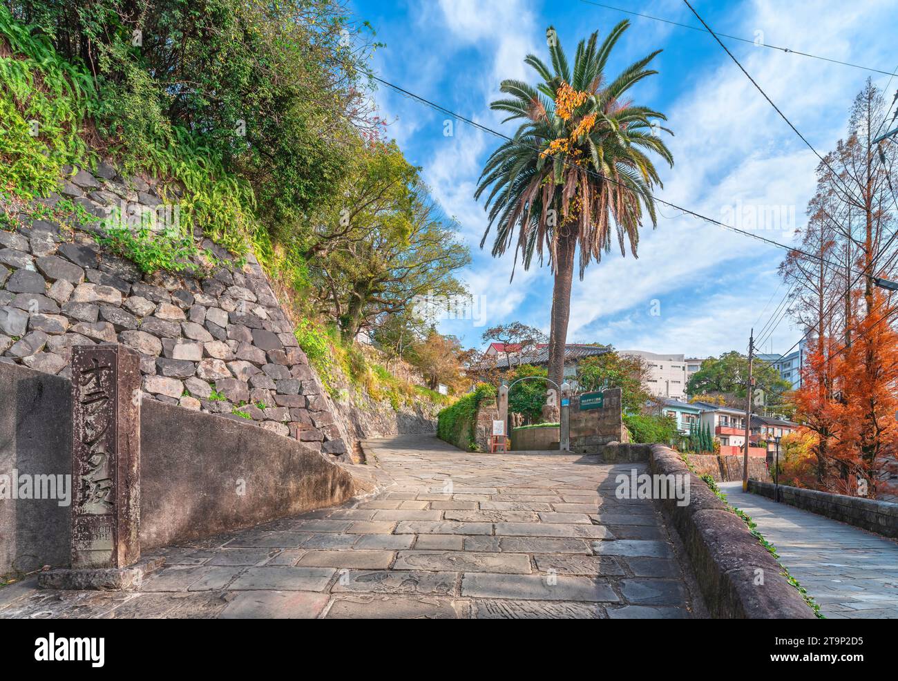 nagasaki, kyushu - dec 13 2022: Stone paved slope called Dutch Slope or Holland Zaka with a palm tree in the background leading to the private school Stock Photo