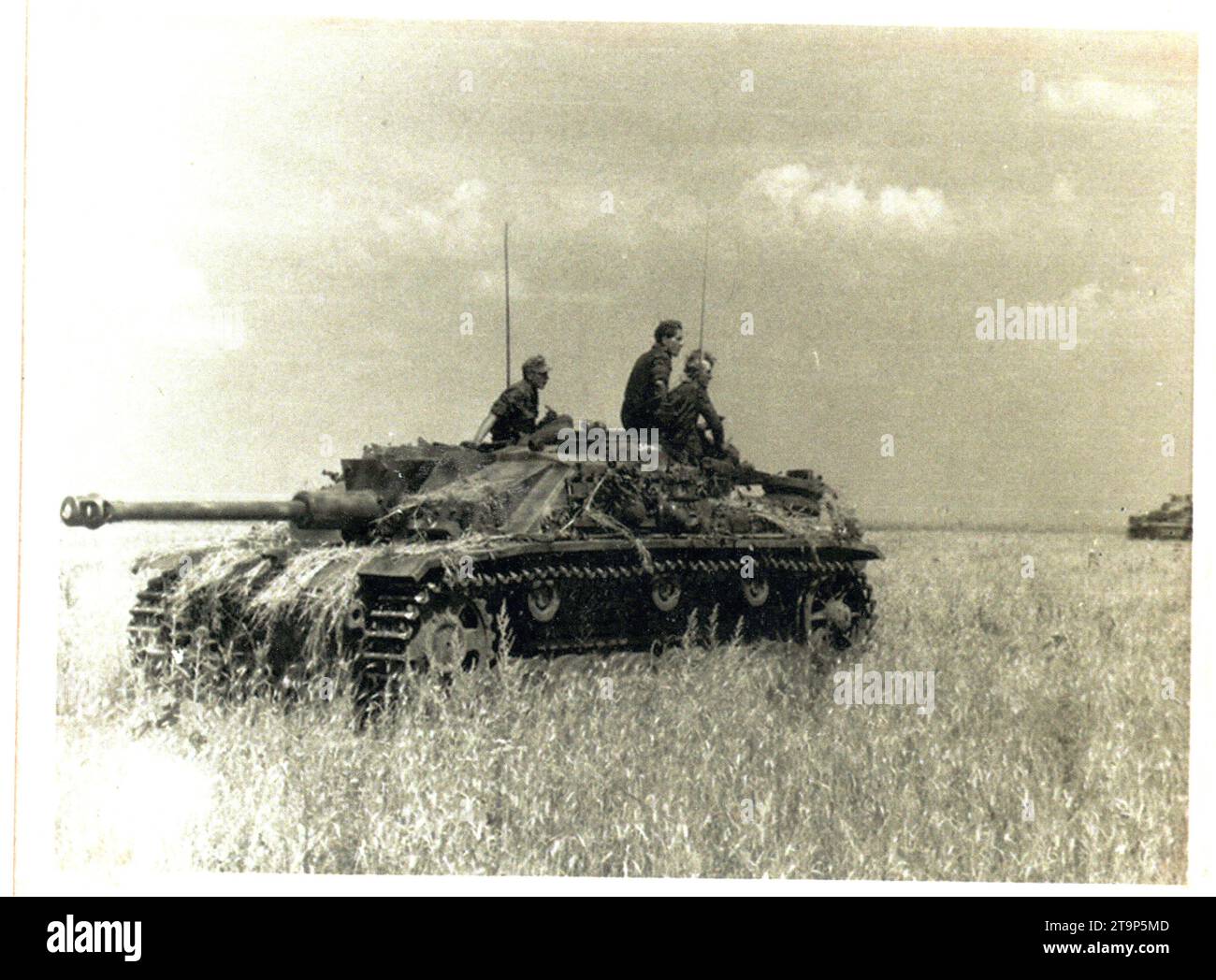 World War Two B&W photo German Assault Gun on the Russian Front (Sturrmgeschuetz lll ) Stock Photo