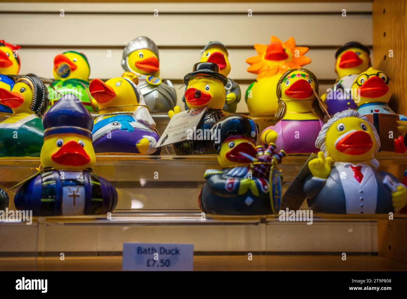 A collection of joke toy ducks on display for sale, England, UK Stock Photo