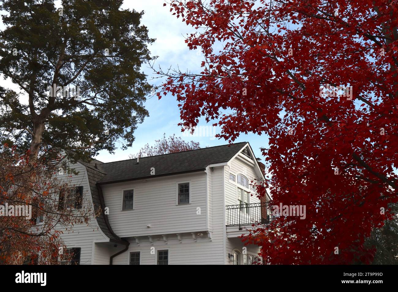 Fall Foliage Against White Exterior of Beautifully Designed House Stock Photo