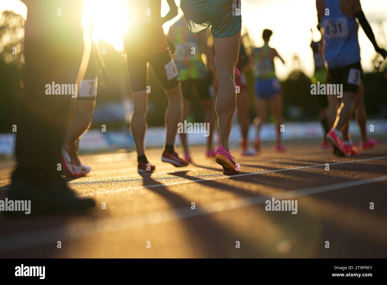 Tokyo, Japan. 25th Nov, 2023. General view Athletics : Hachioji Long ...