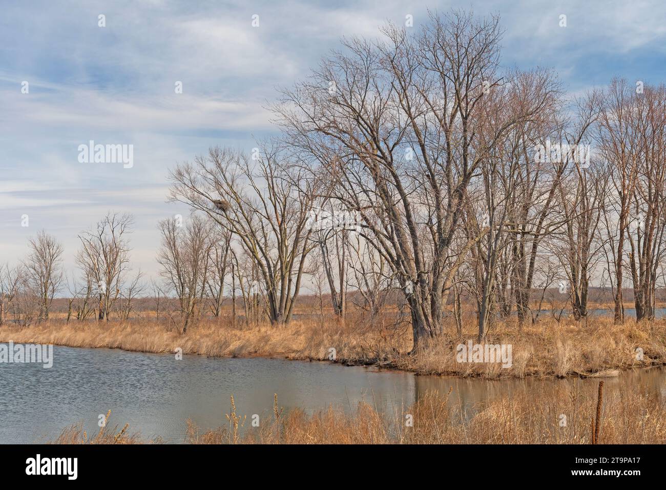 Mississippi landscape hi-res stock photography and images - Alamy