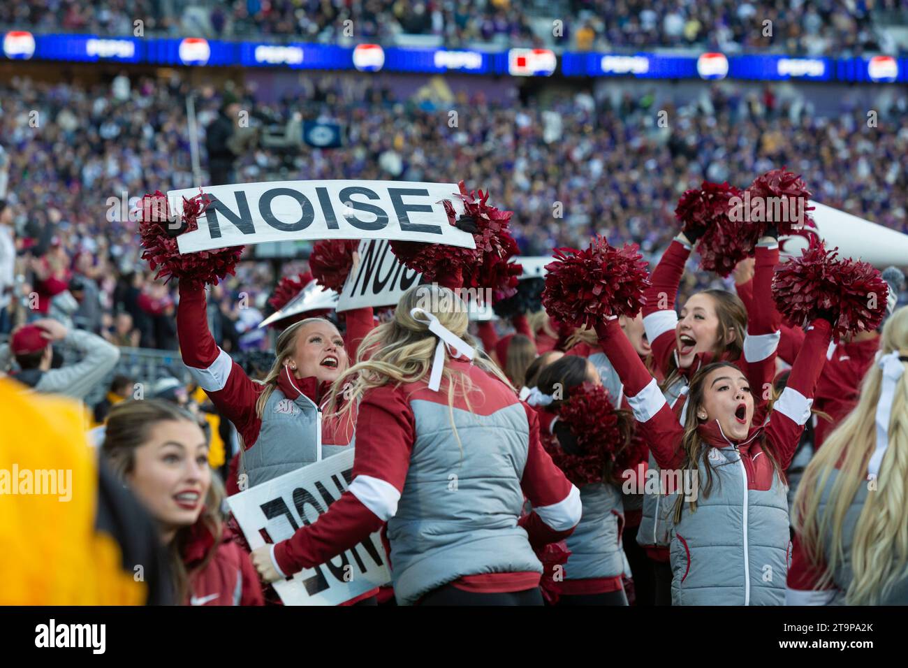 Members of the Washington State Cougar cheerleading squad react to a touchdown during the 115th annual Apple Cup at Husky Stadium in Seattle on Saturd Stock Photo