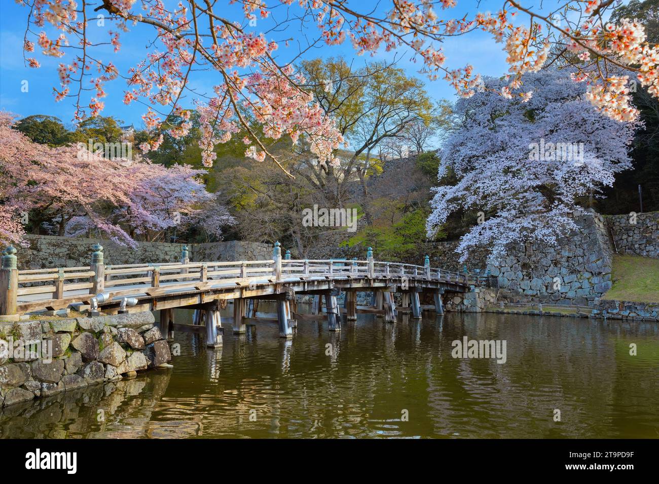 Shiga, Japan - April 3 2023: Hikone Castle completed in 1622, a ...