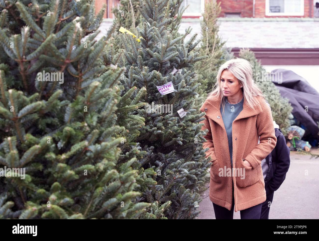 St. Louis, United States. 30th Nov, 2023. A woman inspects different