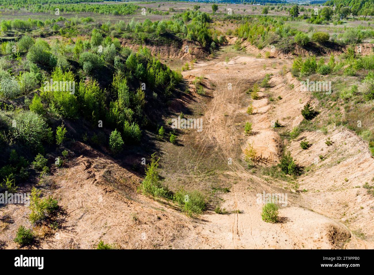 Overgrown exploratory sand pit in a field, soil removed to layers of sand Stock Photo