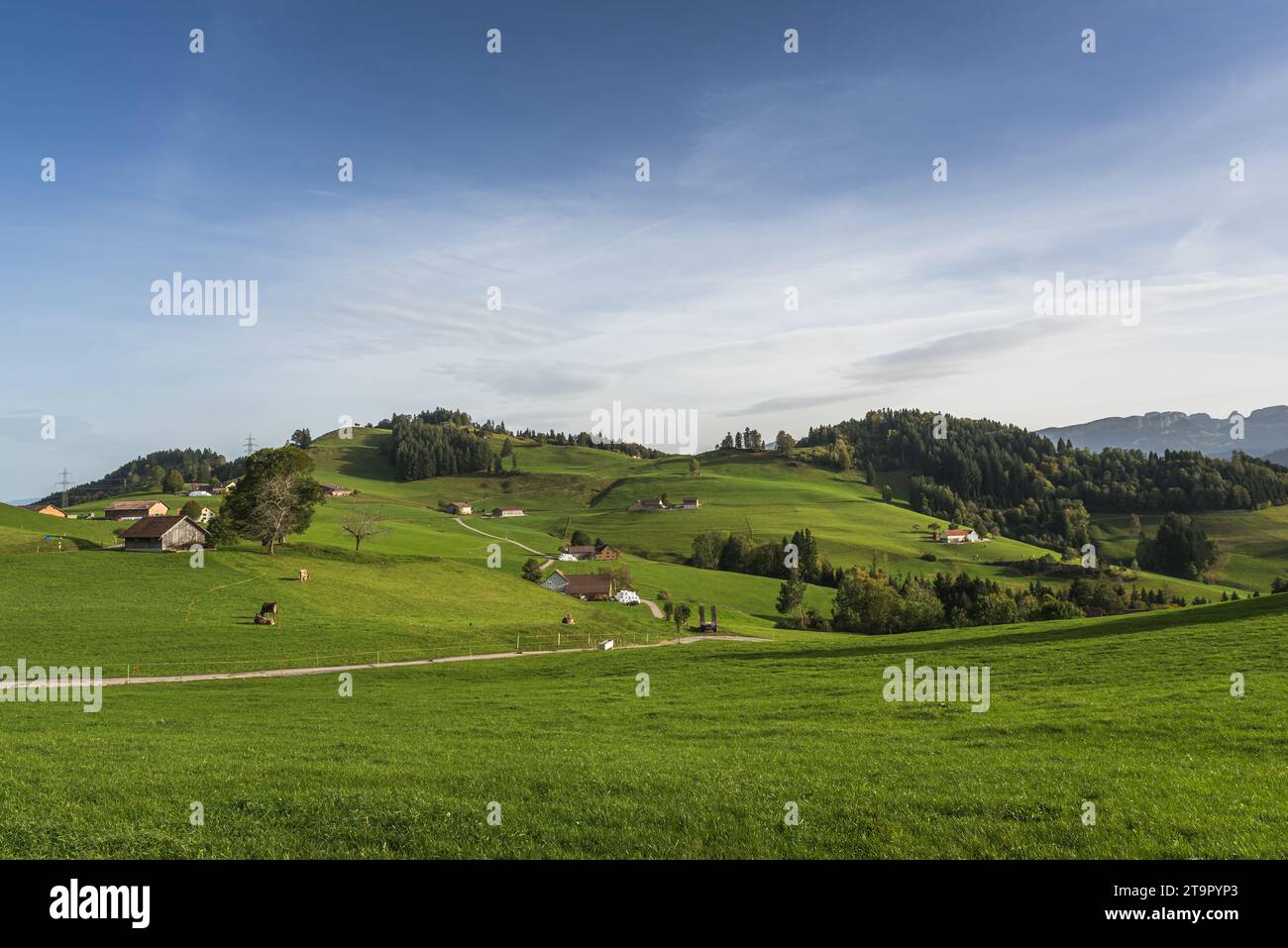 Hilly landscape in the Appenzellerland with farms, green meadows and pastures, Canton Appenzell Innerrhoden, Switzerland Stock Photo