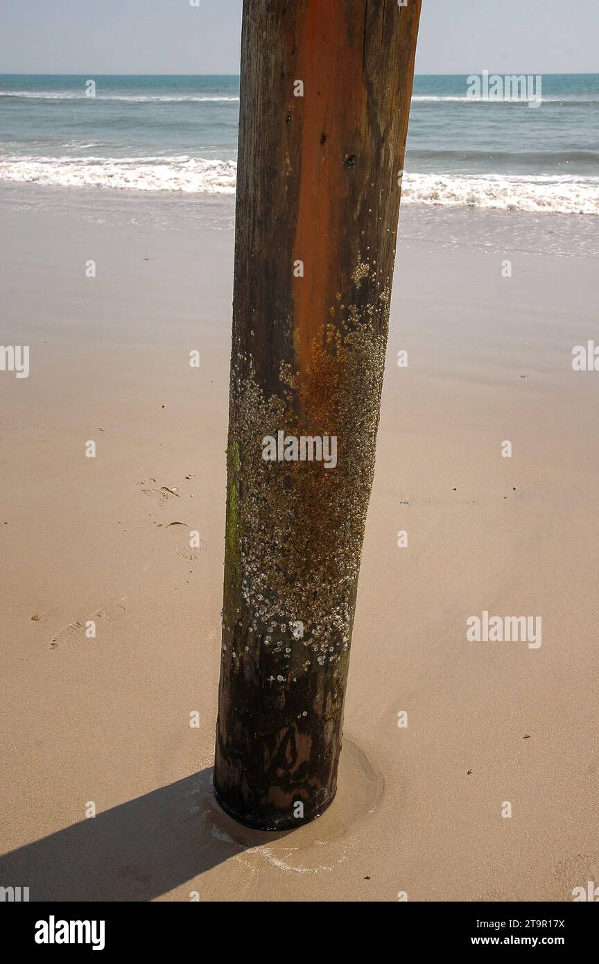 Kitty hawk pier overlook hires stock photography and images Alamy