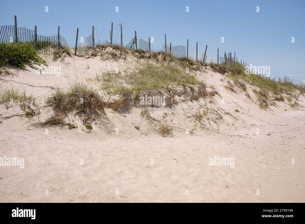A Fence by the Coast of the Outer Banks Island in North Carolina Stock