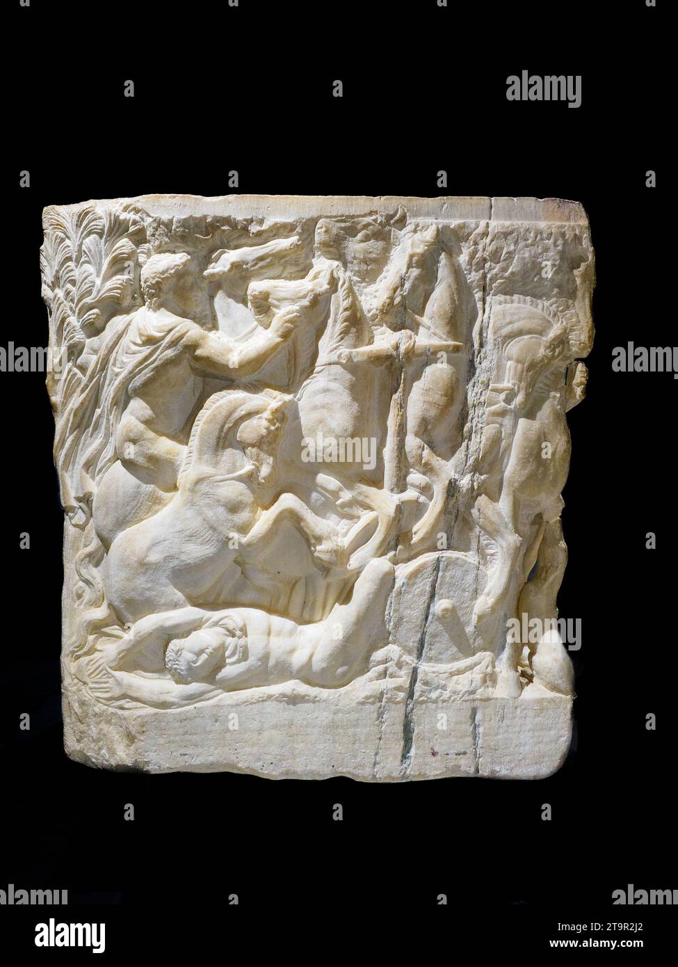 Roman age sarcophagus of Hippolytus and Phaedra. Hippolytus, bottom left, is overwhelmed by the horses of his own quadriga. A companion tries to stop the animals, and among the heads we can glimpse that of the bull sent by Poseidon, the cause of their frenzy. White marble with bluish veins (3rd century BC) - Cattedrale di San Gerlando (Agrigento Cathedral) - Sicily, Italy Stock Photo