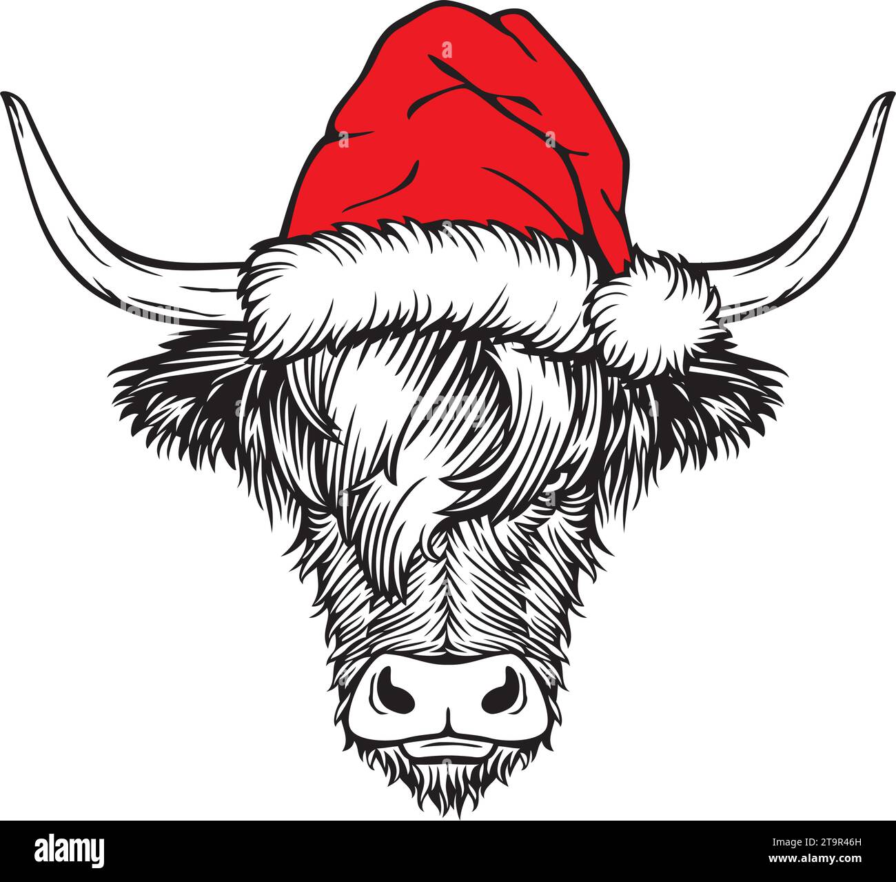 Christmas Highland Cow with Santa Hat. Scottish Cattle Color. Vector