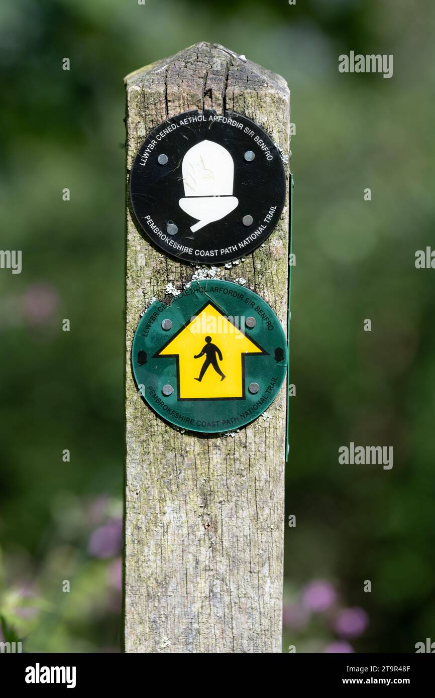Pembrokeshire Coastal Path - Pembrokeshire Coast Path National Trail marker Stock Photo