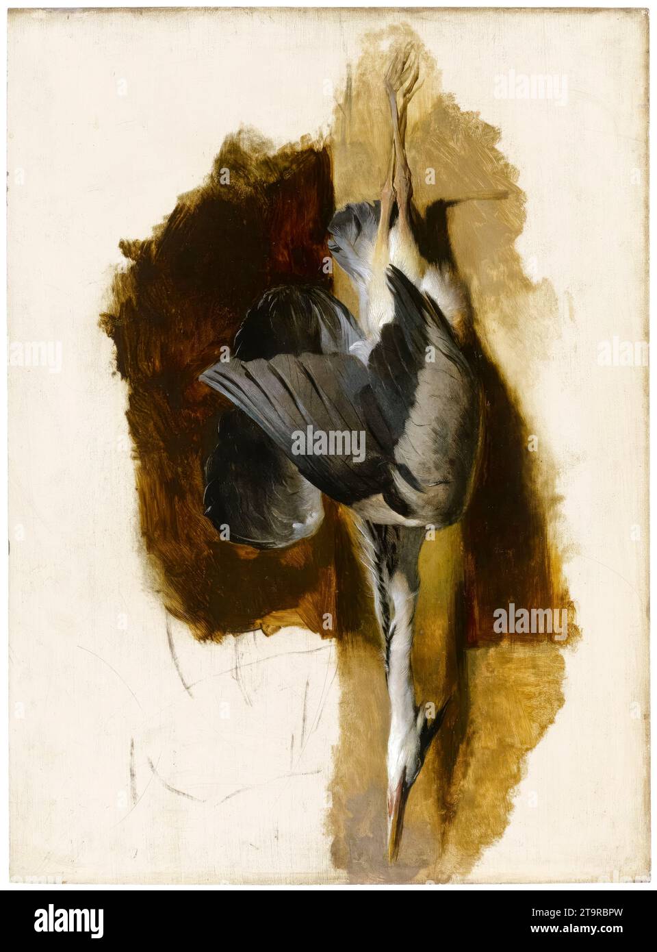 Sir Edwin Henry Landseer, Study of a Dead Heron, still life painting in oil on panel, circa 1832 Stock Photo