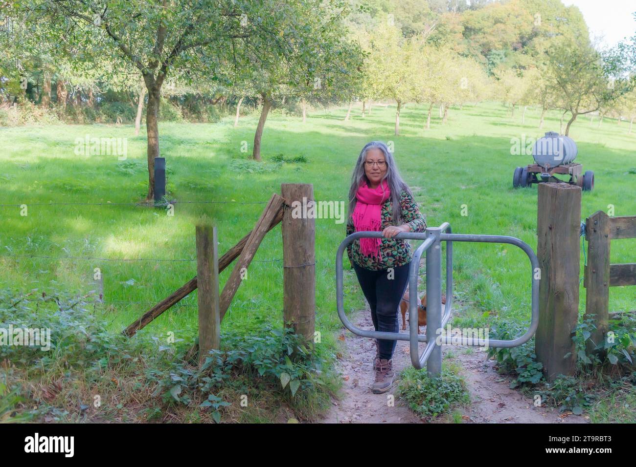 Senior hiker with his dog entering Stammenderbos nature reserve, revolving gate, trees on agricultural plot in misty background, pink shawl, sunny day Stock Photo