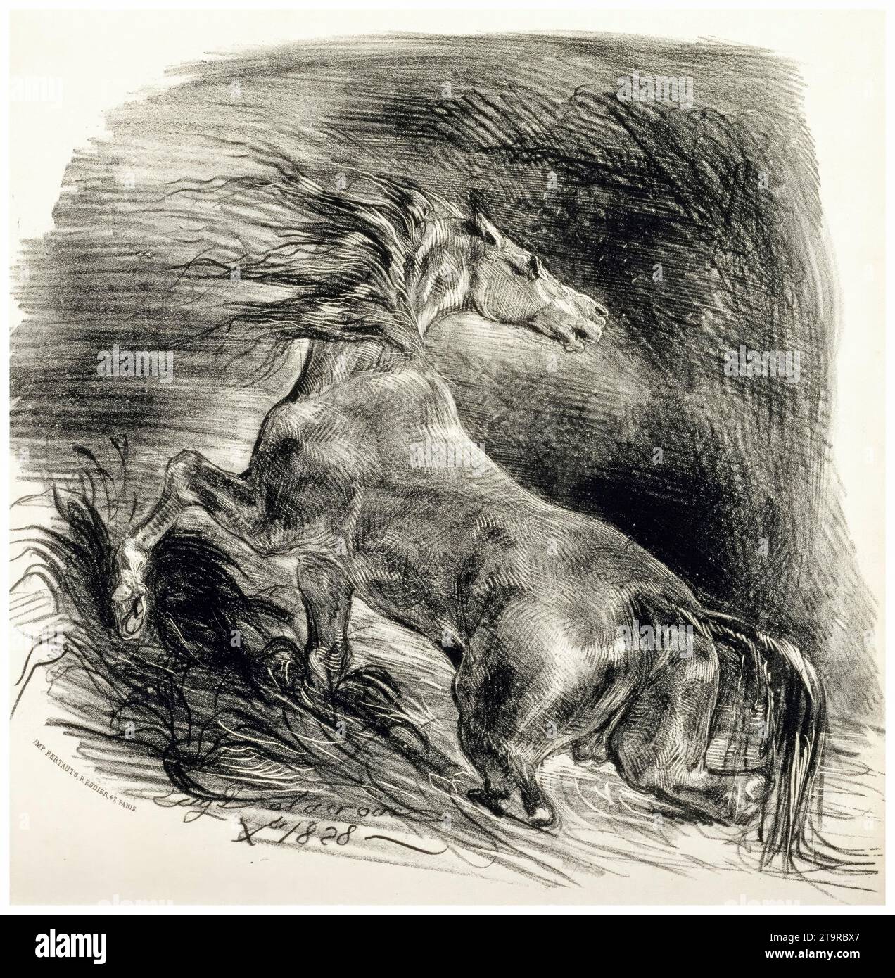 Eugene Delacroix, Cheval sauvage (Wild Horse), lithographic print, 1828 Stock Photo