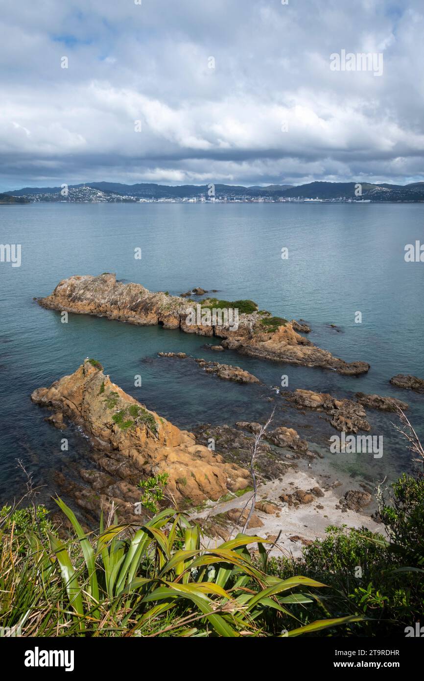 Rocky coastline, Matiu/Soames Island, Wellington Harbour, North Island, New Zealand.   Wellington city in distance. Stock Photo