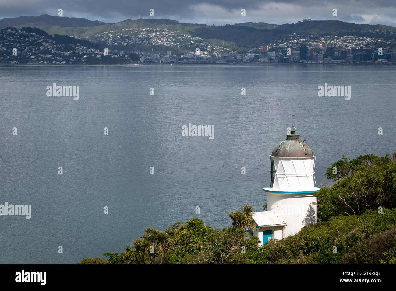 Lighthouse, Matiu/Soames Island, Wellington Harbour, North Island, New Zealand.  Wellington city in distance. Stock Photo