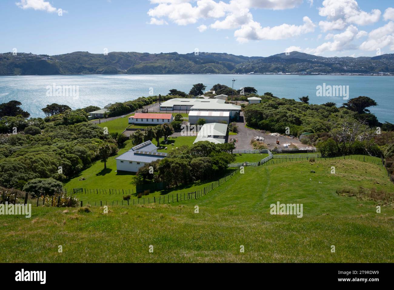 Old Quarantine Station, Matiu/Soames Island, Wellington Harbour, North