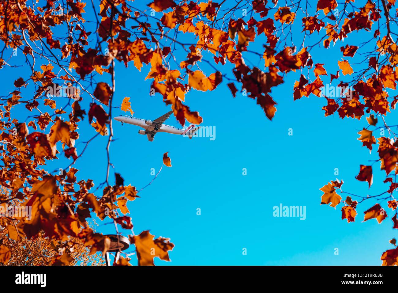 High flying airplane jet leaves hi-res stock photography and images - Alamy