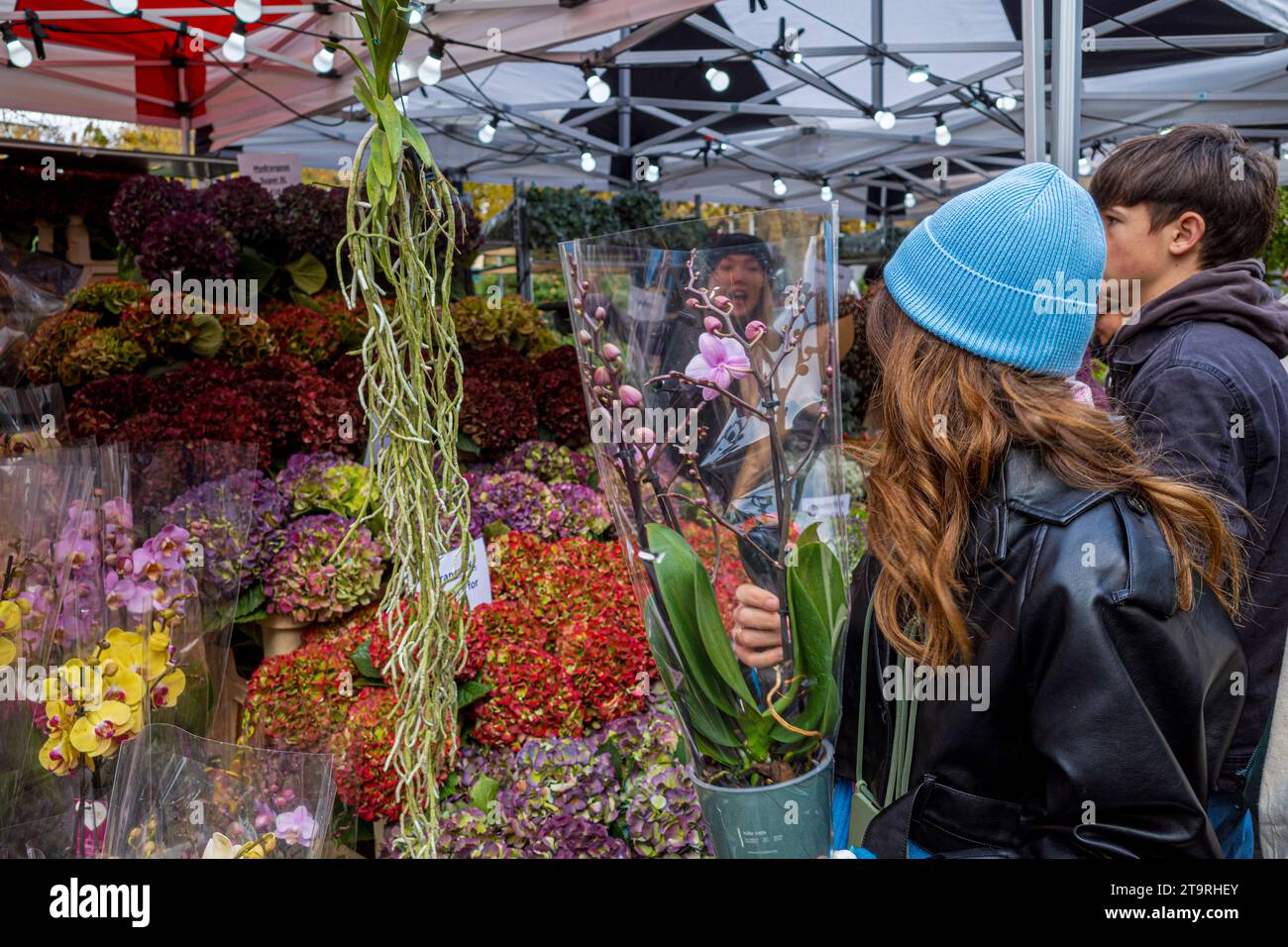 Columbia Road Flower Market  London - a very popular Sunday market in East London Stock Photo