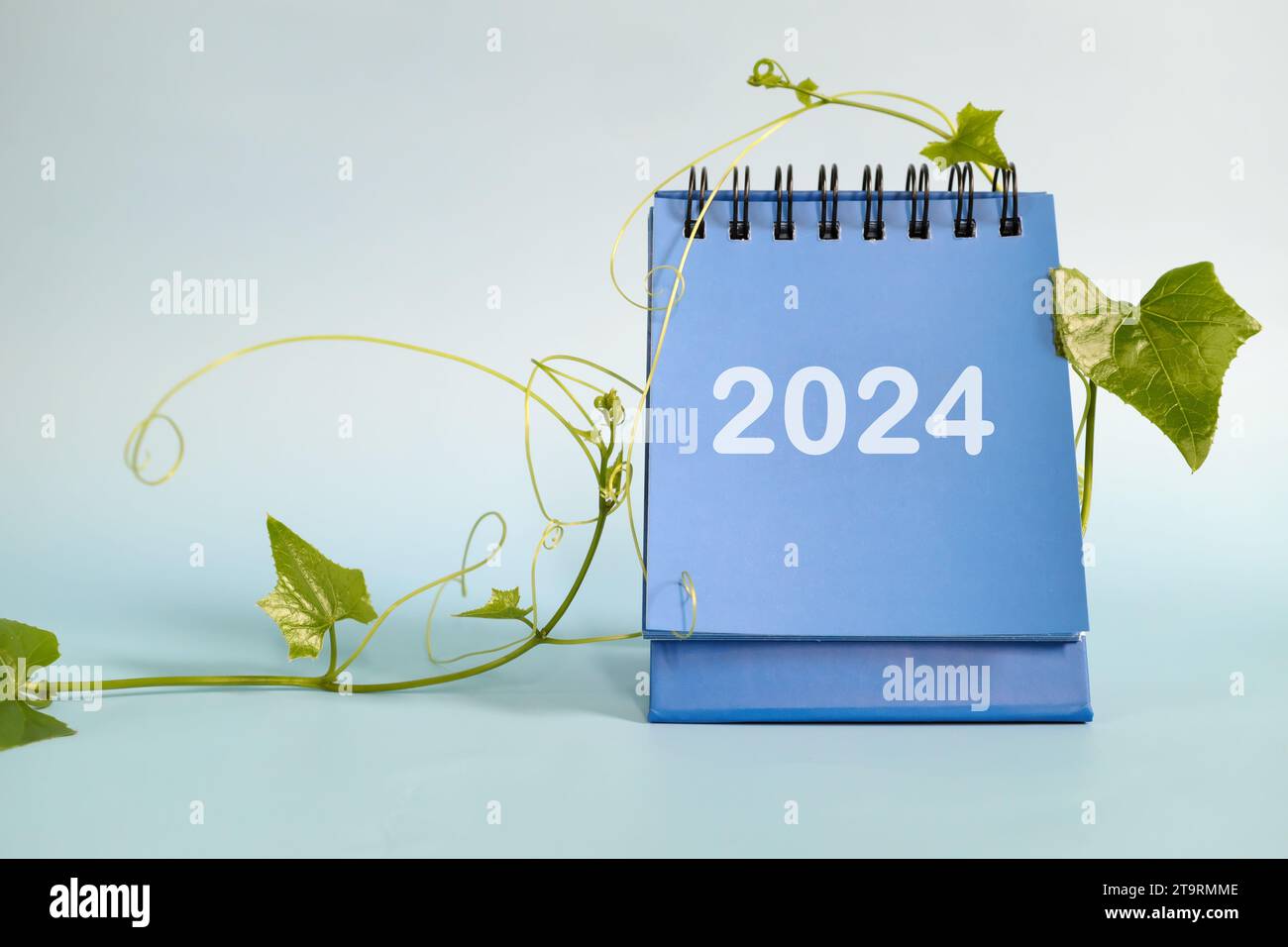Year 2024 business sustainability goal and sustainable development