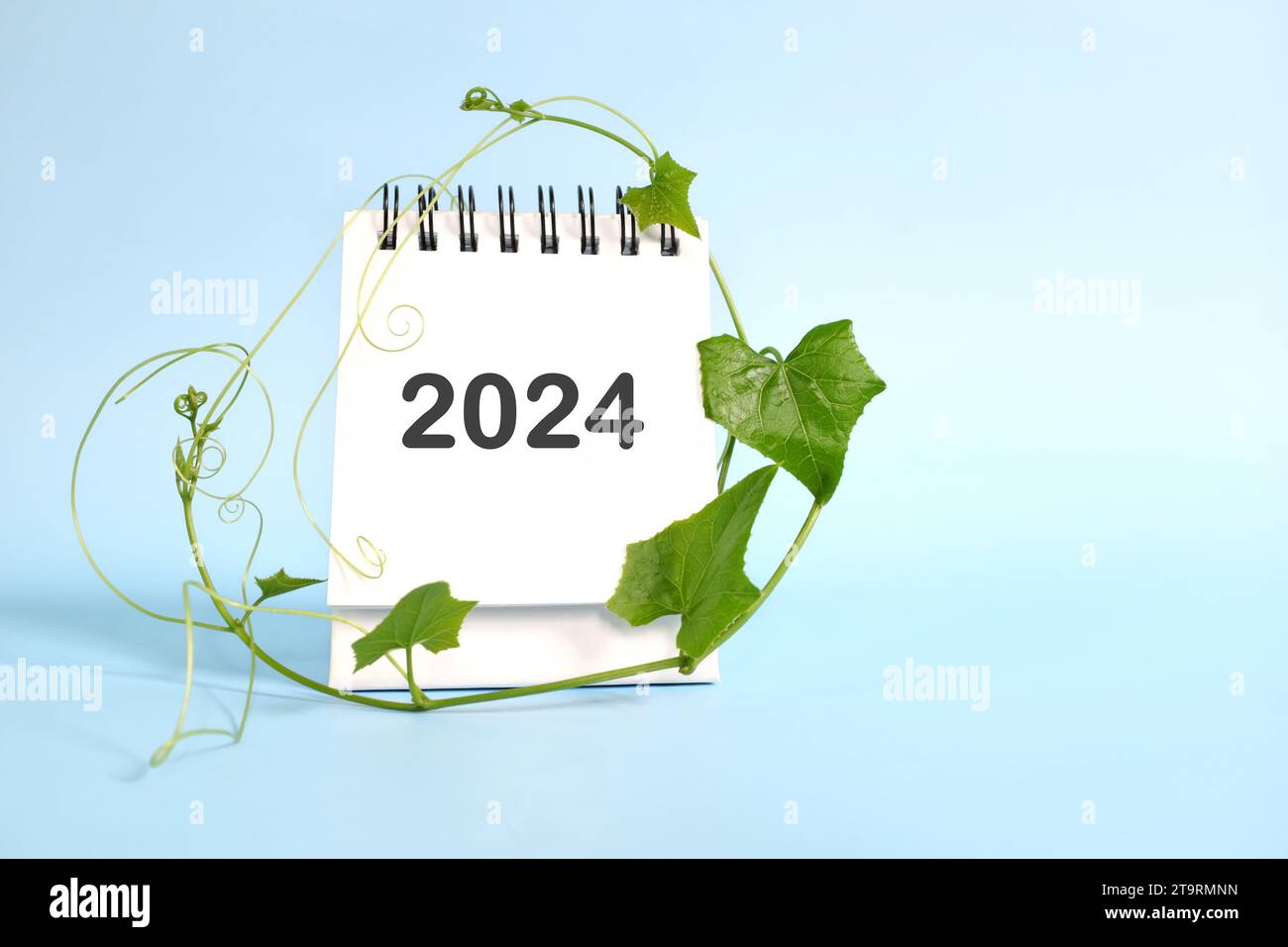Year 2024 business sustainability goal and sustainable development