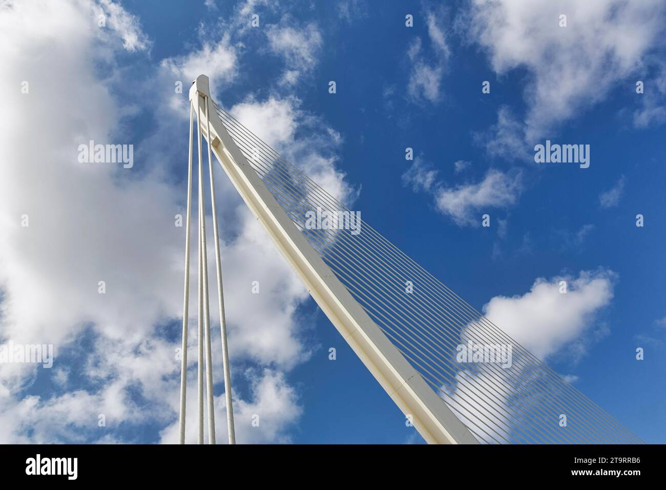 White cable-stayed bridge in the shape of a harp, Pont de L'Assut de l'Or, modern architecture, architect Santiago Calatrava, pylon, detail in front Stock Photo