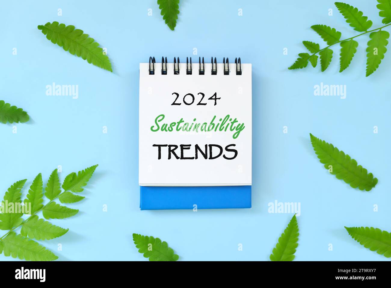 Year 2024 business sustainability trends concept. Beautiful flat lay