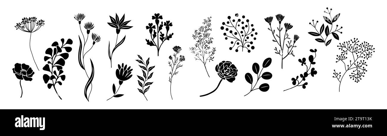 Set of black silhouettes of wild leaves and flower Stock Vector Image ...