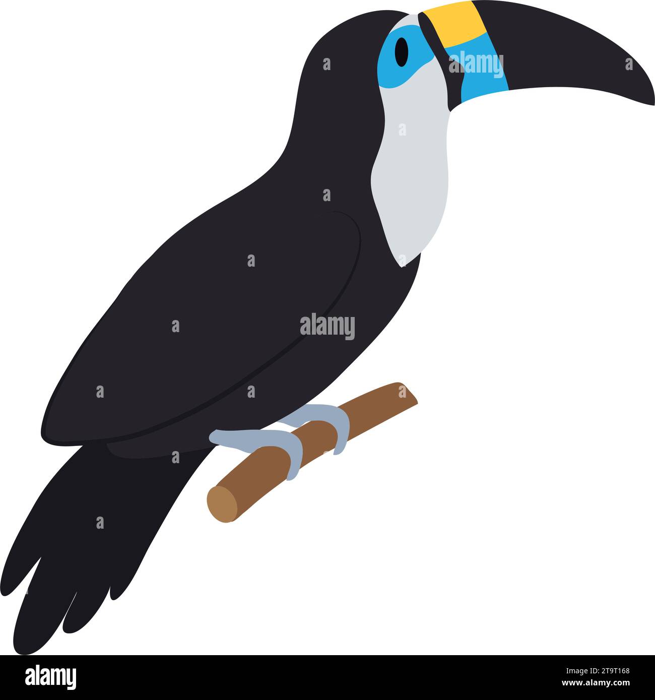 colored toucan illustration Stock Vector Image & Art - Alamy