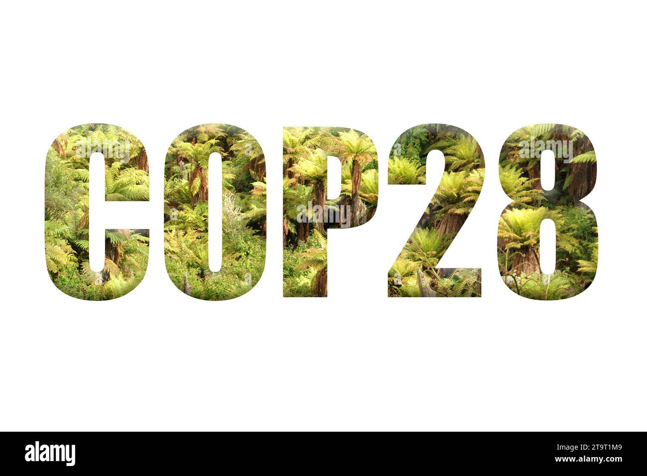 2023 United Nations Climate Change Conference or Conference of the Parties of the UNFCCC aka