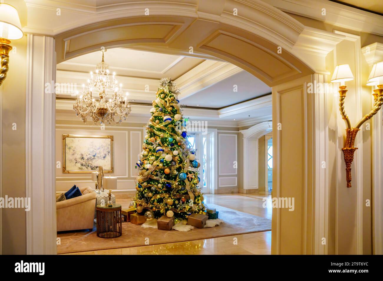 Christmas Tree Palm Beach, Florida Stock Photo Alamy