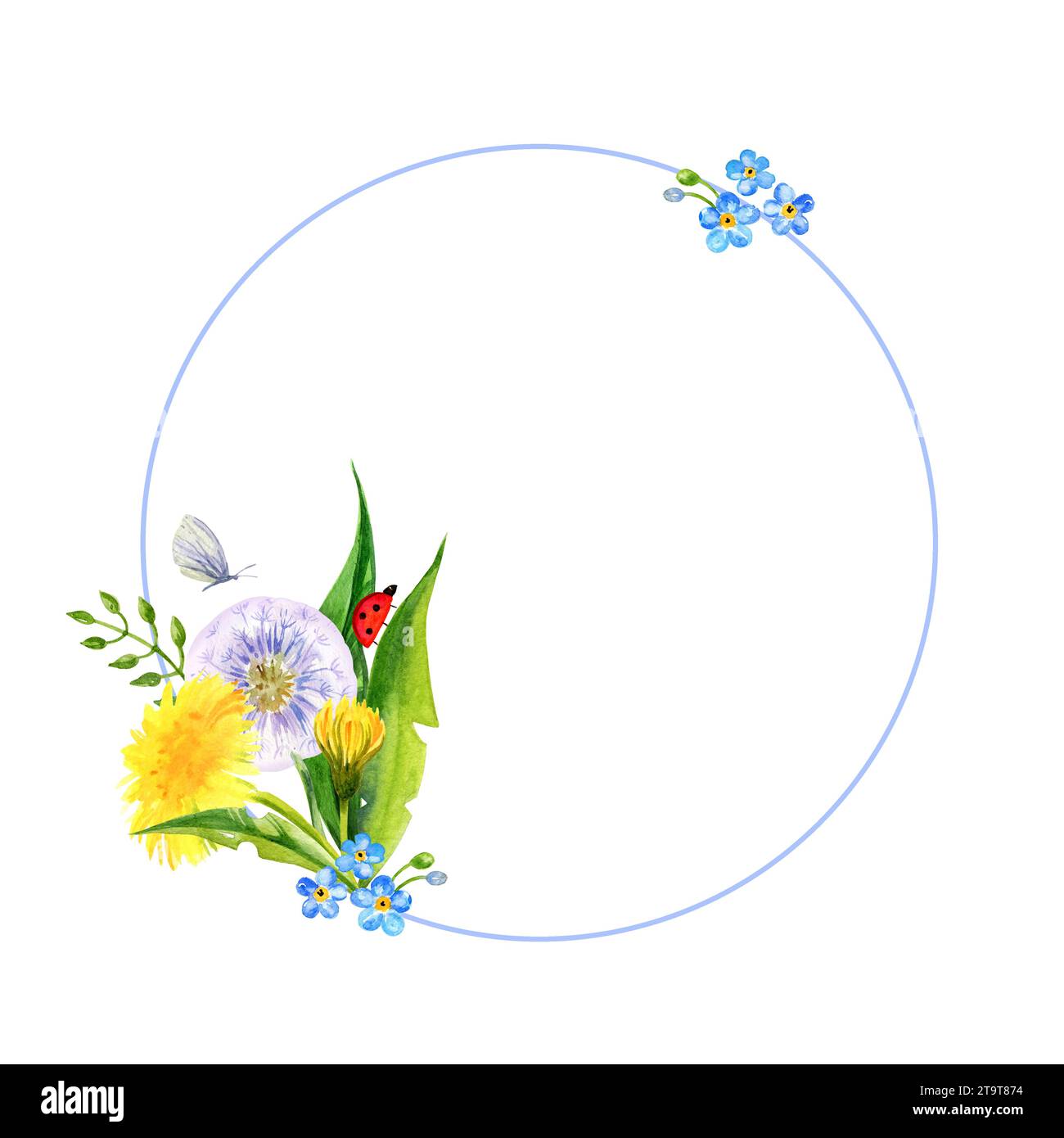 watercolor round frame with summer yellow flowers blow ball and ladybug, hand draw dandelions, forget me not flowers and leaves, herbs, sketch of spri Stock Photo
