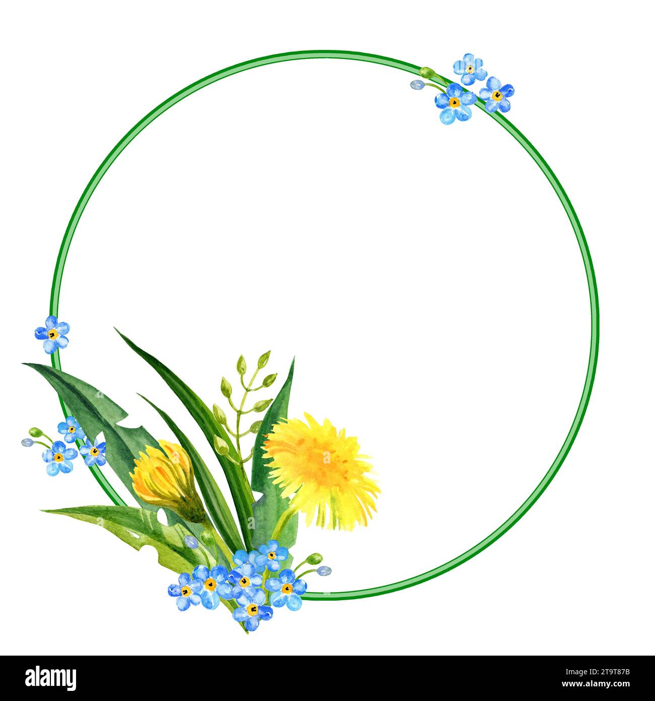 watercolor round frame with summer yellow flowers blow ball, hand draw dandelions, forget me not flowers and leaves, herbs, sketch of spring yellow fl Stock Photo
