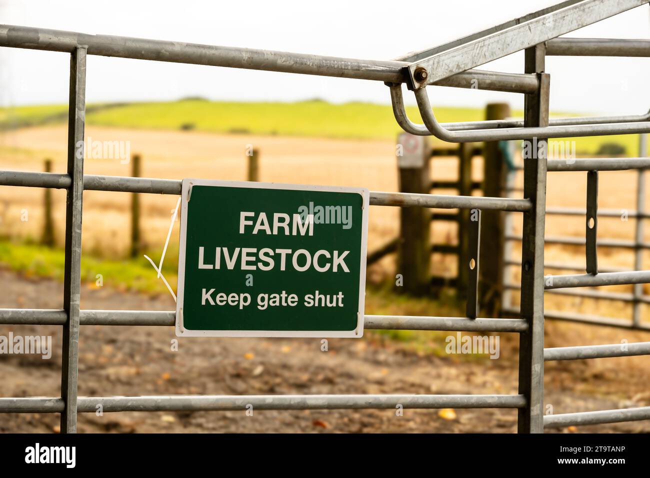 Farmers metal gate with a keep gate shut sign attached, displaying Farm Livestock, with agricultural fields in the background Stock Photo