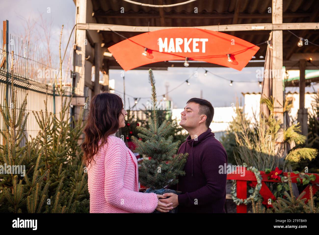 Couple in love chooses Christmas tree in outdoor market. Young man and beautiful woman look at each other, holding tub with live Christmas tree in han Stock Photo