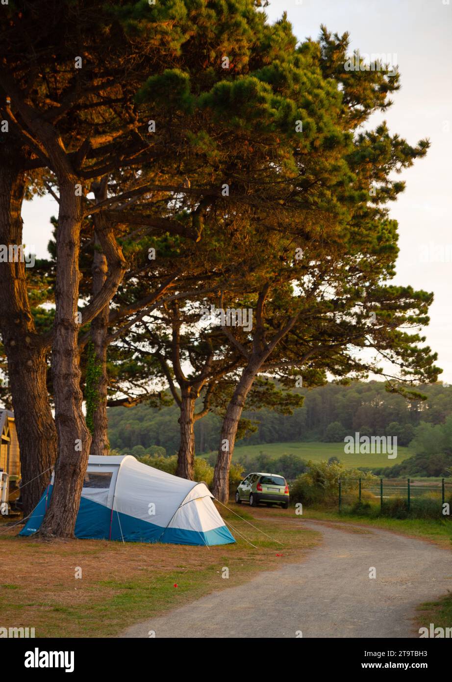 a tent camping under the pine trees at sunset, Europe rural campsite Stock Photo