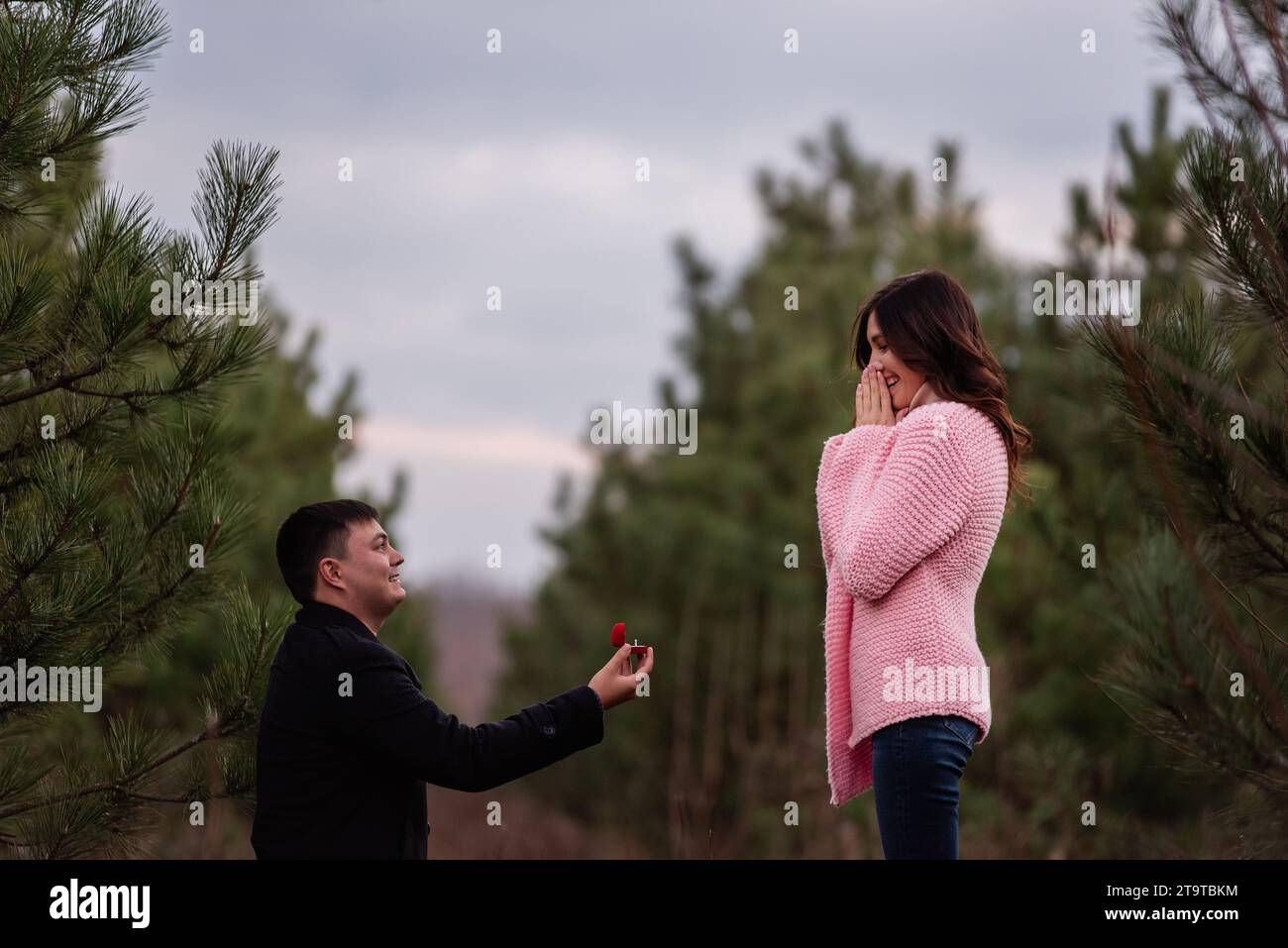 Young man in black coat kneels in front of beautiful woman, proposes marriage, holding out red box with gold ring in forest. Girl in pink knitted swea Stock Photo